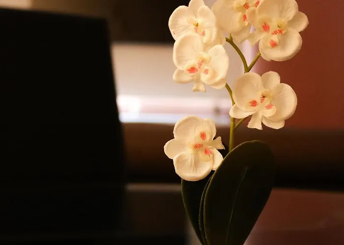 Apartment Desenzanino